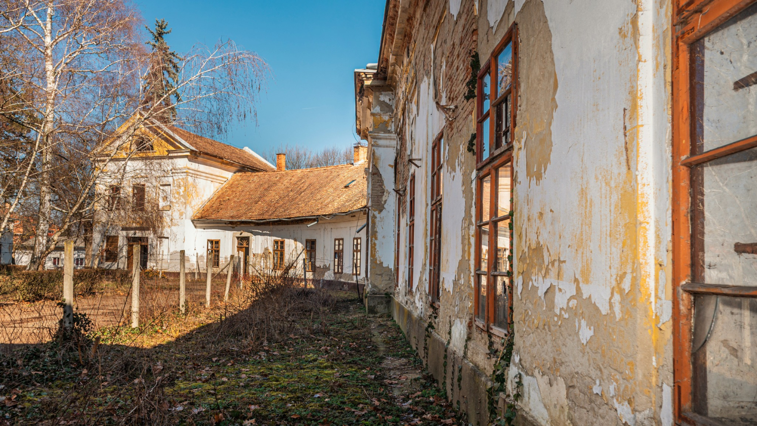 642710559_1342740294556632_4340473796845414847_n