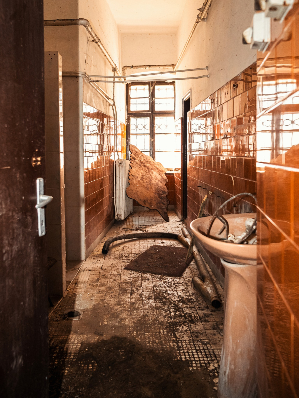 643840653_1342741691223159_6021286547479444162_n