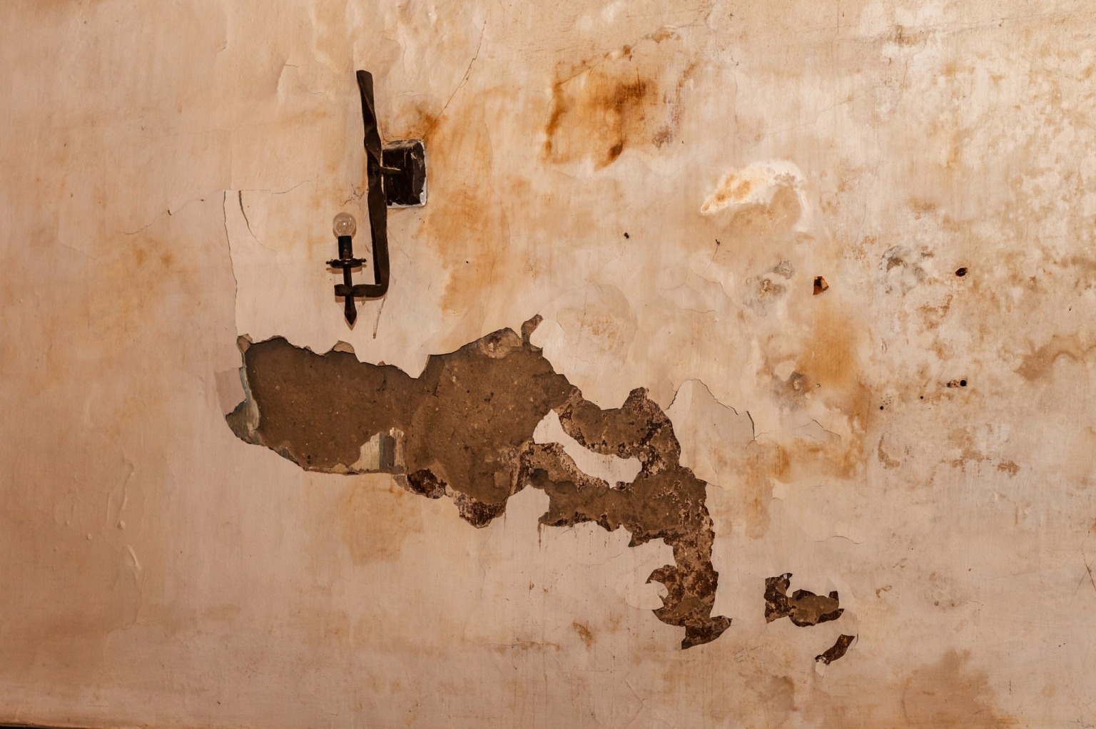 645240350_1342739424556719_9092287536374262673_n